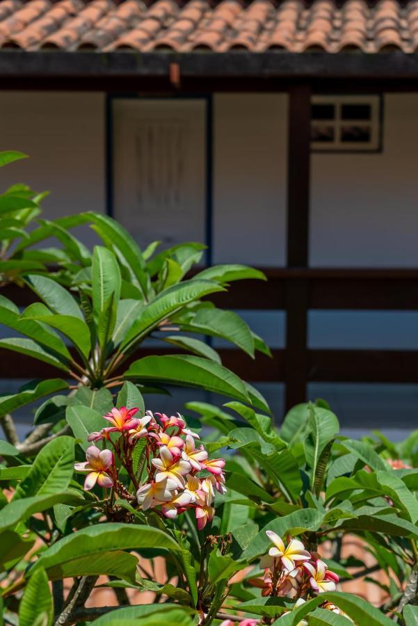 Villa Alexandre Pousada - Trancoso Kültér fotó